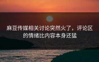 麻豆传媒相关讨论突然火了，评论区的情绪比内容本身还猛