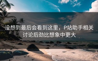 没想到最后会看到这里，P站助手相关讨论后劲比想象中更大