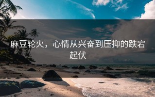 麻豆轮火，心情从兴奋到压抑的跌宕起伏