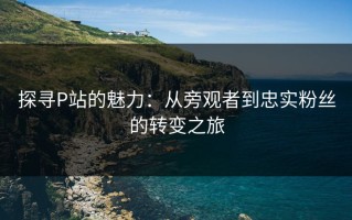 探寻P站的魅力：从旁观者到忠实粉丝的转变之旅