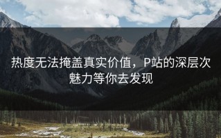 热度无法掩盖真实价值，P站的深层次魅力等你去发现