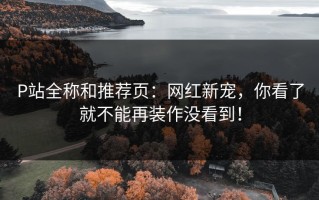 P站全称和推荐页：网红新宠，你看了就不能再装作没看到！