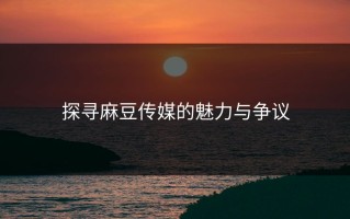 探寻麻豆传媒的魅力与争议
