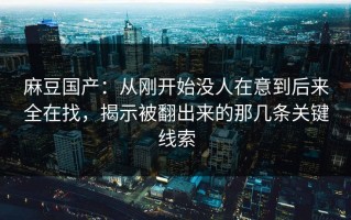 麻豆国产：从刚开始没人在意到后来全在找，揭示被翻出来的那几条关键线索