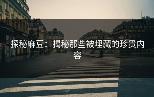 探秘麻豆：揭秘那些被埋藏的珍贵内容