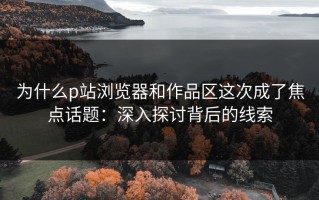 为什么p站浏览器和作品区这次成了焦点话题：深入探讨背后的线索