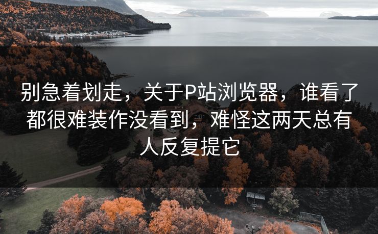 别急着划走，关于P站浏览器，谁看了都很难装作没看到，难怪这两天总有人反复提它-第1张图片-p站助手导航站 | p站搬运工视频库
