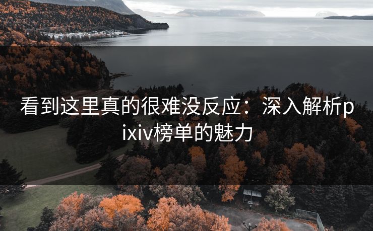 看到这里真的很难没反应：深入解析pixiv榜单的魅力-第1张图片-p站助手导航站 | p站搬运工视频库