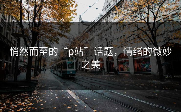 悄然而至的“p站”话题，情绪的微妙之美-第1张图片-p站助手导航站 | p站搬运工视频库